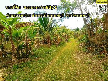 ขายที่ดิน ซอยบางกร่าง63/1 ตำบลบางกร่าง อำเภอเมืองนนทบุรี จังหวัดนนทบุรี 